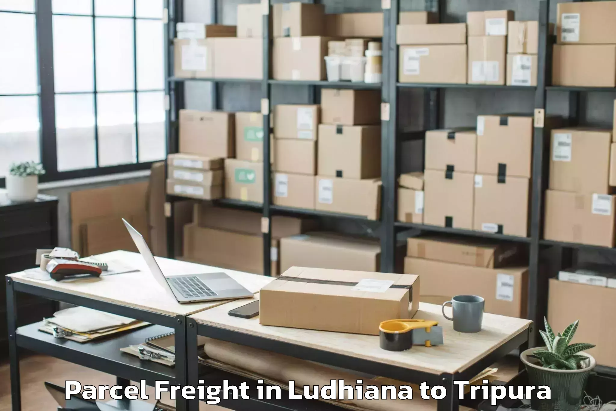 Book Ludhiana to Nit Agartala Parcel Freight Online